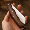 Small Curved Fruit Bird Beak Paring Knife with Wooden Handle - 图片 3